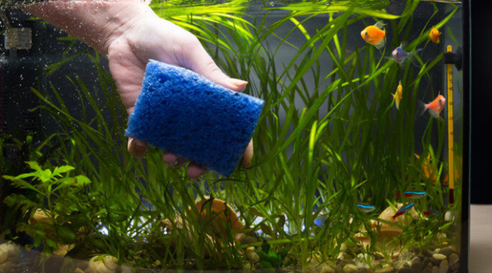 Tank Maintenance